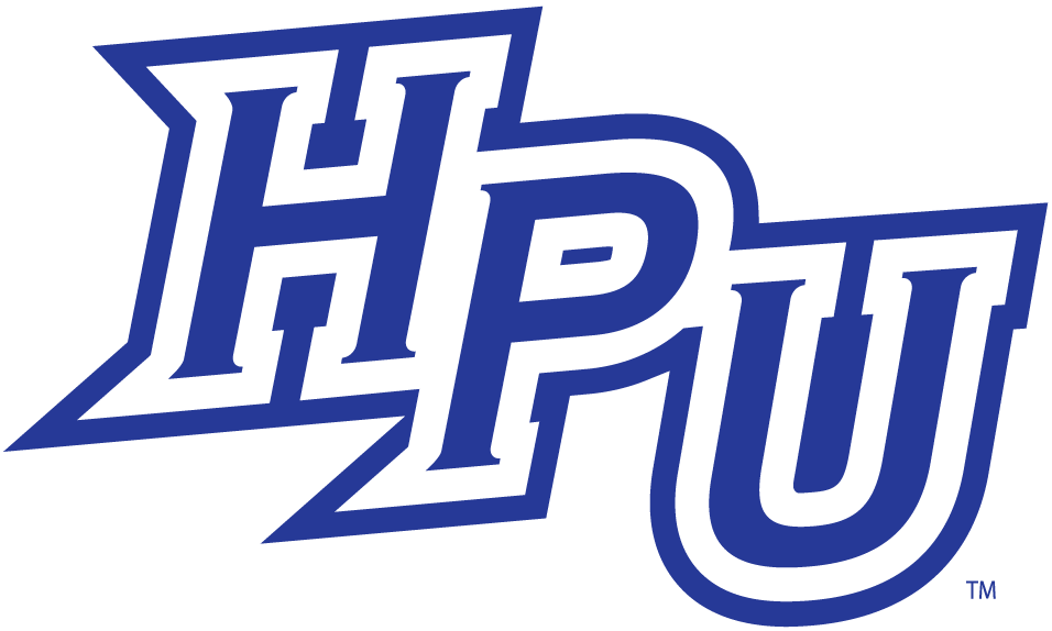 High Point Panthers 2004-2011 Alternate Logo t shirts DIY iron ons v5